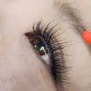 세인자연 이미지