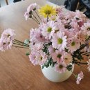 하와이안레시피 이미지