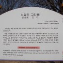 신접리 고인돌 이미지