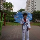 용인대태권도 이미지