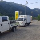 은행농장(염소) 이미지