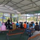 힐링카약파크비체올린 이미지