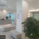 뿌리심는치과의원 | 대전치과 뿌리심는치과의원 요금·예약·주차 한번에 정리