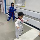 KAT태권도 이미지