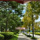 이마트24 대전목원대정문점 이미지