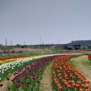 공릉천자전거도로변 이미지