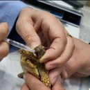 속초동물의료센터 이미지