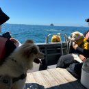 김만중 농장 이미지