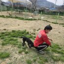 죽빵훈련소 이미지