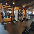 바디닥터짐 이미지