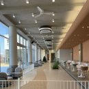 푸르댕댕 이미지