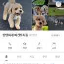 탄탄하개 유치원 이미지