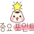조이타일인테리어