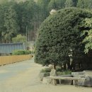 잔다리로 13 버스정류장(14-884) | 내일로 여행 순천 편 (선암사 템플스테이, 다반사 카페, 수수하지만 굉장해 후기)