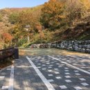 좌구산 캠핑공원 이미지