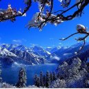 록원자원 이미지