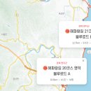 봉그기네막창 - 영덕군 예주6길 26-4 | 봉그기네막창