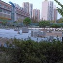 대전도안초등학교