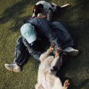주식회사 울타리가도와줄개 | 🐾유기견 보호소 봉사 후기 - 따뜻한 하루의 기록