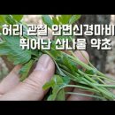 사위 질방 효능과 먹는법 이미지