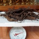 월영동017 이미지