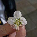 금천독일맑은보청기 이미지