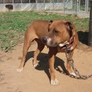 아도농장 이미지