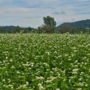 낙동강체육공원 자전거대여소 이미지