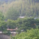 주천면 호경마을 이미지