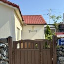 절세미견 이미지