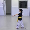 용인대 정무 태권도장 이미지