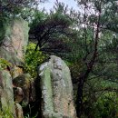 삼릉소머리곰탕 | 가을비 속에 경주 남산(삼릉-금오봉-약수골)