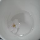 약수터 옆 이미지