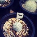 봉일농장 이미지