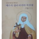 십자가에 못 박히신 예수의 성녀 마리아 묵상집(가르멜 총서 17) 이미지