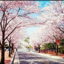 황토방민박 이미지