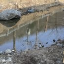 퇴촌나폴리 이미지