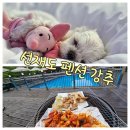 아름다운바다 펜션 모텔(애견동반) | 선재도 펜션 추천, 대부도 애견동반 숙소 루나비치 후기