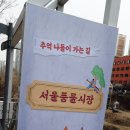 헬로!은비 이미지