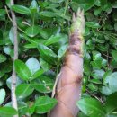 3.1.공원 이미지