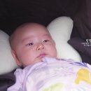 백일세탁소 이미지