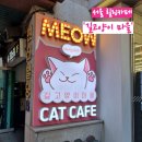 성수왕방힐링마을 | 성수 실내 놀거리 냥이들과 힐링하는 실내 이색 데이트 카페, 길고양이 마을 성수 협력점