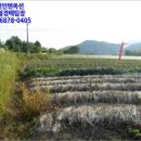 옥천군안내면동대보건진료소 이미지