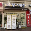 멍그레츄 | 은평구 강아지 수제간식 전문점 <멍그레츄> 에서 펫푸드 원데이클래스 수강 후기 / 강아지케이크