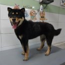 세븐일레븐가평자라째즈점 이미지