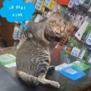 신참떡볶이동산점 | 경주를 가게 되 : 첫째날