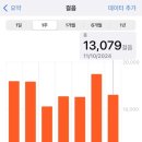 솔아농장 | 뉴질랜드에서의 10월 기록 1편