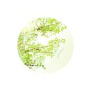 롯데횟집 이미지