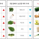 부산농산 네이버블로그