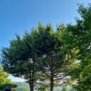 KPC한국생산성본부 이천연수원-솔직 후기, 회사 워크샵